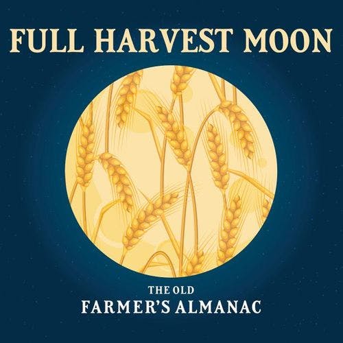 (almost) Full Harvest Moon Night Tour cover image