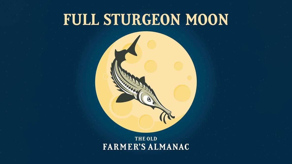 (almost) Full Sturgeon Moon Night Tour