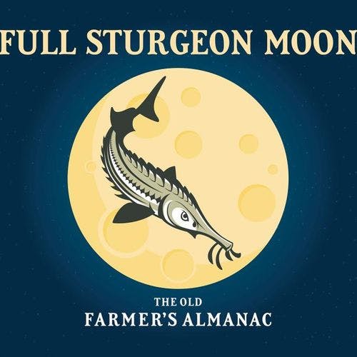 (almost) Full Sturgeon Moon Night Tour cover image